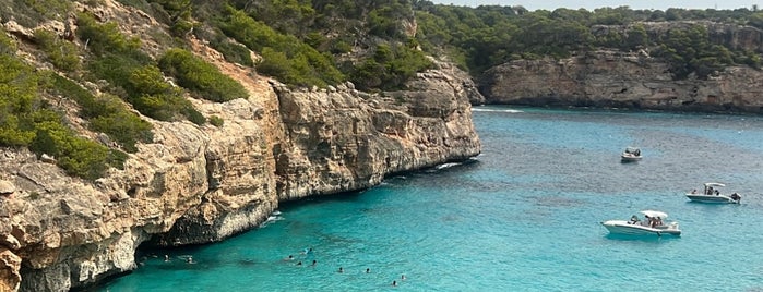 Майорка is one of Mallorca.