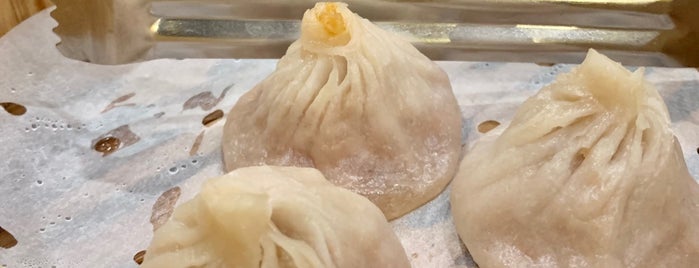 Excellent Dumpling House is one of New York.