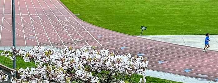 Kezar Stadium is one of SF.