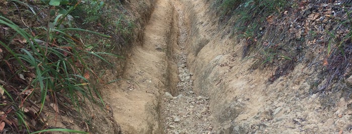 Temelpa Trail is one of Locais curtidos por Tantek.