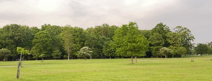 Beaver Island Blue Heron Disc Golf Course is one of Parks, Trails, Bike Paths.