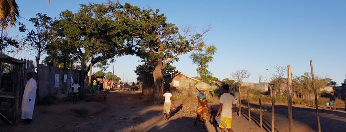 Belo sur Tsiribihina is one of 2016-05-29t0607 Madagascar.