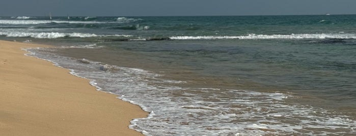 Midigama Beach is one of Sri Lanca.