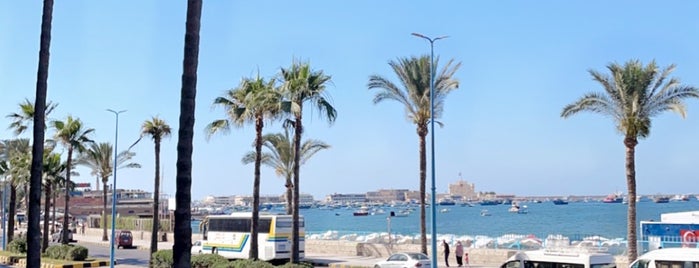Kadoura is one of Alexandria - Egypt.