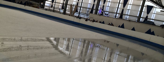 Ice Skating Poseidon is one of To Be Checked In BXL.