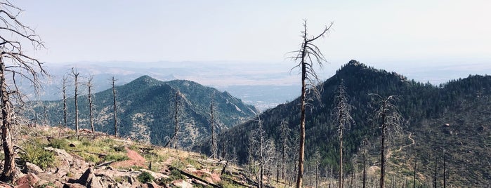 South Boulder Peak is one of Lugares favoritos de Zach.