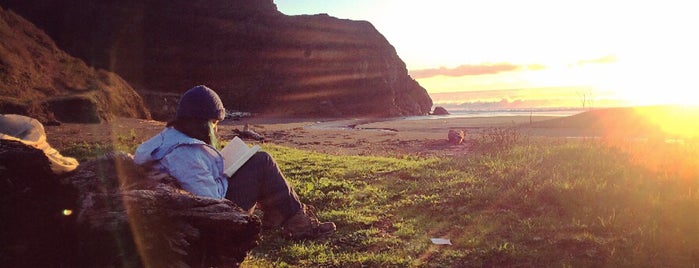 Sinkyone Wilderness State Park is one of Lost Coast.