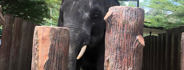 National Elephant Conservation Centre is one of สถานที่ที่ Mike ถูกใจ.