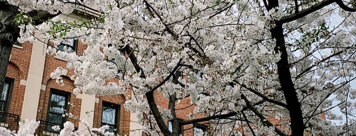 NCSU - The Quad is one of Explore NCSU.