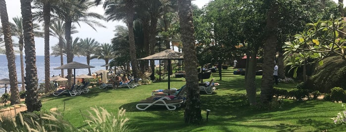 Beach at Grand Rotana Resort & Spa is one of Posti che sono piaciuti a Alex.