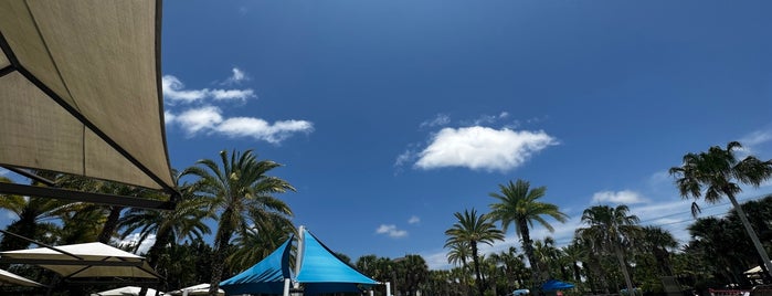 Nocatee Splash Waterpark is one of Around Jax.