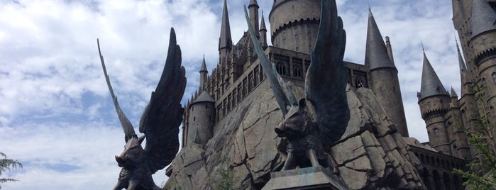 Harry Potter and the Forbidden Journey is one of Japan Trip.