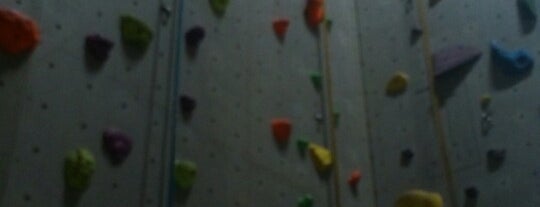 Climbers Laboratory is one of Micheenli Guide: Rainy day activities in Singapore.