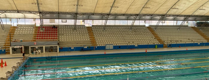 Piscina Olimpica Campo De Marte is one of Sitios de siempre.