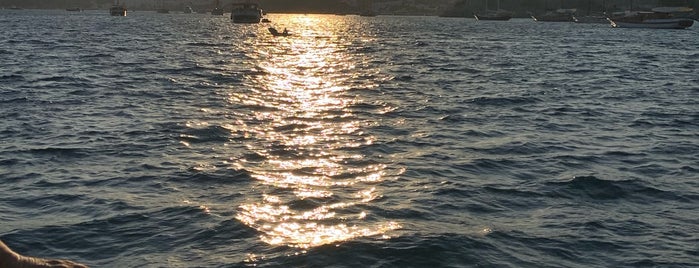 Yaralı Ceylan & Love Boat is one of Lugares favoritos de Nur.