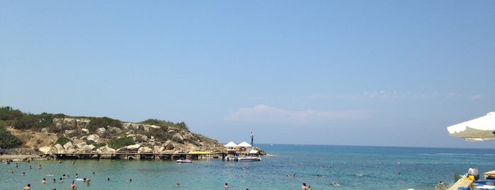 Golden Bay Beach is one of mustafa kapili.