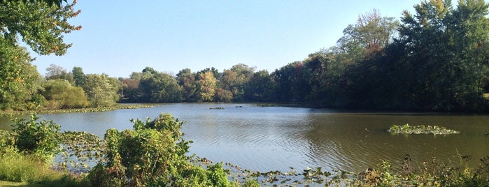 Strawbridge Lake Park is one of New Jersey - 1.