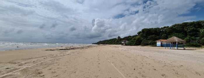 Praia do Pesqueiro is one of Ilha do Marajó.