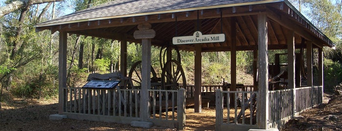 Arcadia Mill Archaeological Site is one of Open Saturdays.
