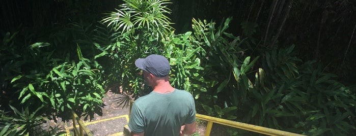 Kaumana Caves is one of Big Island Hawaii.