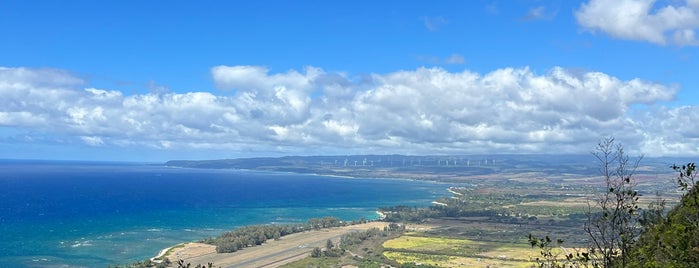 Keālia Trail is one of Hawaii 🌺🌸.