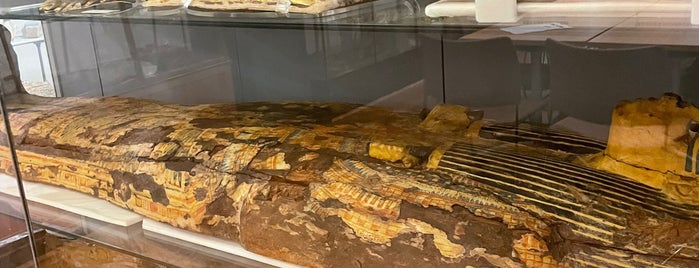 Petrie Museum of Egyptian Archaeology is one of 48 Hours in London Town.