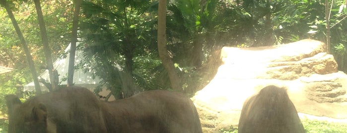 Bali Zoo Park is one of สถานที่ที่ Ece ถูกใจ.