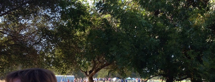 Stanford Red Barn is one of All Right Now.