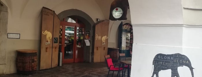 U Zlatého slona is one of Prague Pubs.