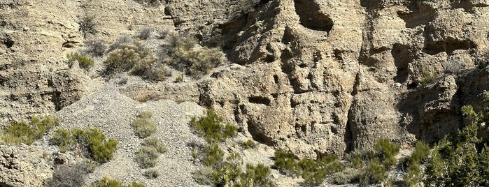 Mt. Charleston is one of Best Of LAS VEGAS.