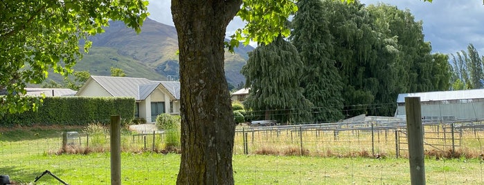 Wanaka Lakeview Holiday Park is one of Associates.