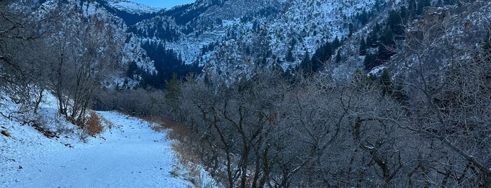 Neff's Canyon Trail is one of Great hikes in Salt Lake City.