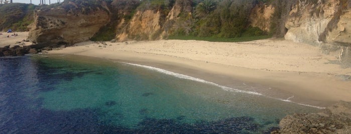 Treasure Island Beach is one of LB.