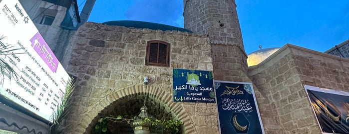 Muhamidiya Mosque (Great Mosque) is one of Tel Aviv.