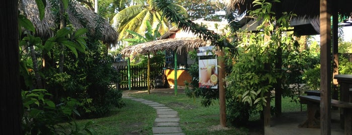 Ocho Rios Jerk Center is one of Touristy things to do in Ocho Rios, Jamaica.