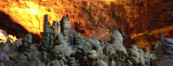 Grotte Di Castellana is one of สถานที่ที่ Luca ถูกใจ.