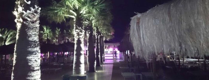 Shada Beach Club is one of Lucaさんのお気に入りスポット.
