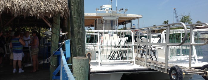 Sun Line Cruises is one of Florida To Do.