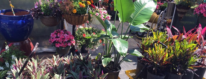 Duncheon's Nursery & Landscaping is one of Lugares guardados de Kimmie.