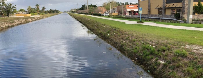 Dunkin' is one of Ft. lauderdale favorites.