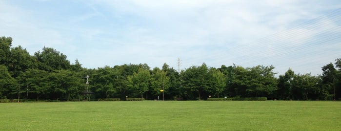 おだわら諏訪の原公園 is one of 神奈川県立都市公園一覧.