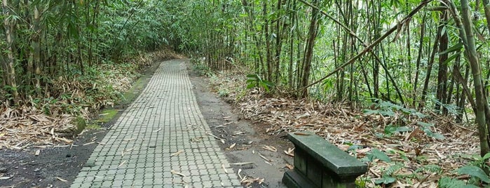 Nyuh Kuning Bamboo Forest is one of Bali ubud.