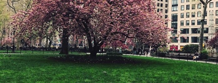 Madison Square Park is one of Orte, die Uliana gefallen.