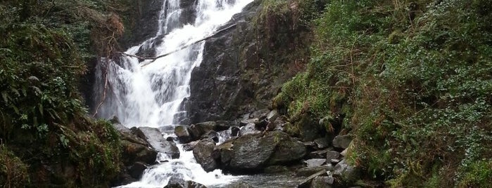Torc Waterfall is one of Gordin's Guide to Ireland.