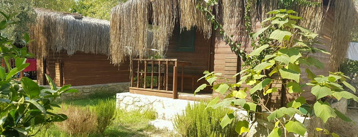 Tardus Bungalov is one of camping.