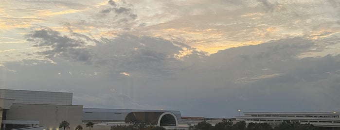 Hyatt Regency Orlando is one of Aline'nin Beğendiği Mekanlar.