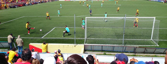 Estadio Eladio Rosabal Cordero is one of Locais curtidos por Javier.