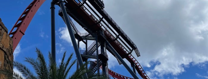 SheiKra is one of Roller Coasters.
