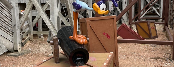 Road Runner Express is one of ROLLER COASTERS.
