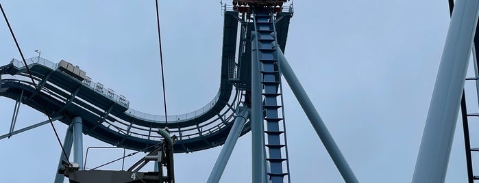 Griffon - Busch Gardens is one of roller coasters.